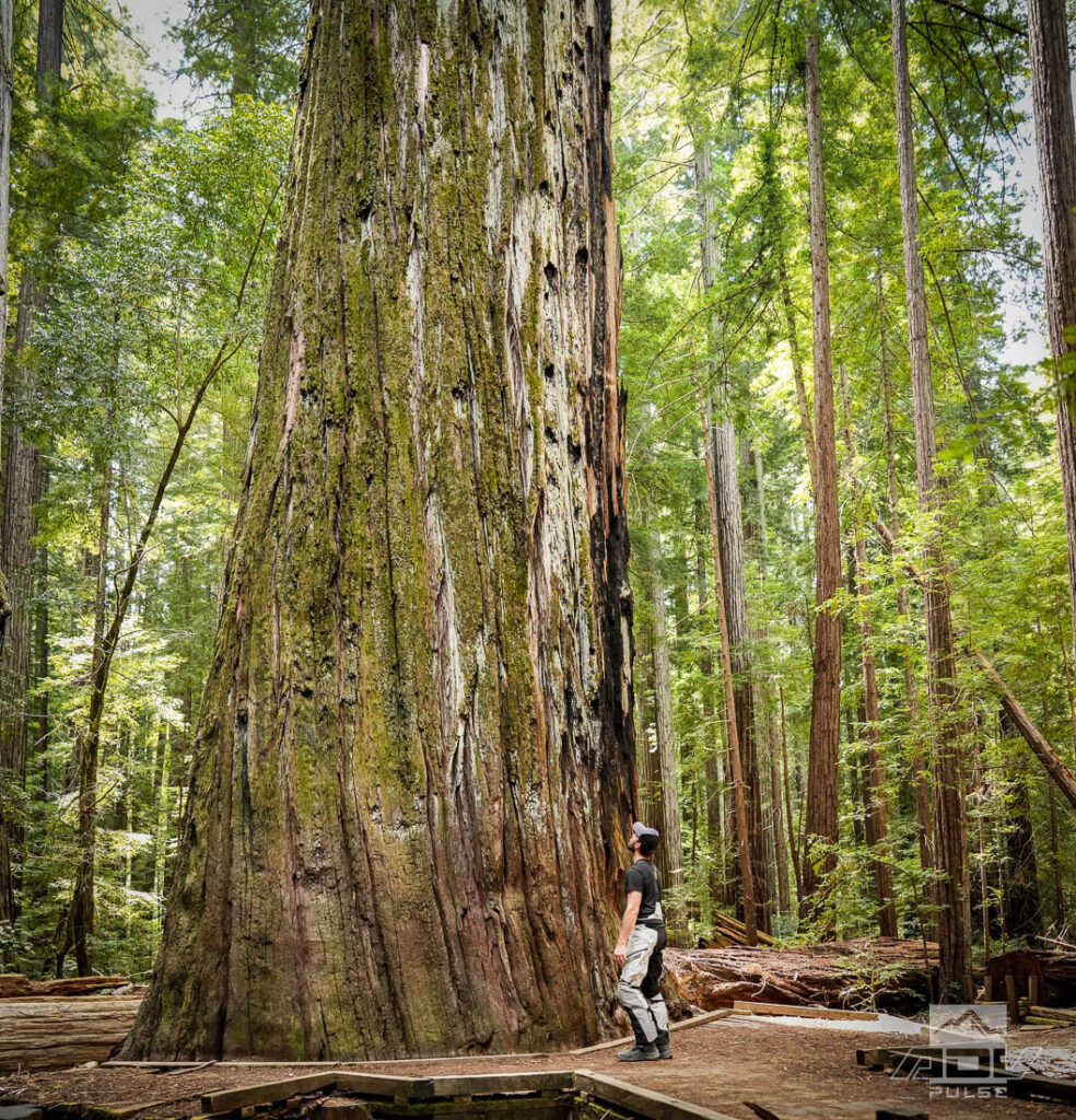 Redwood Coast Adventure Ride