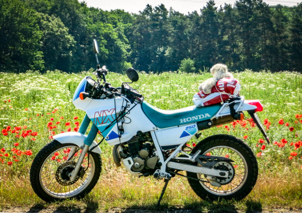 Honda NX250 World Travel Adventure Motorcycle