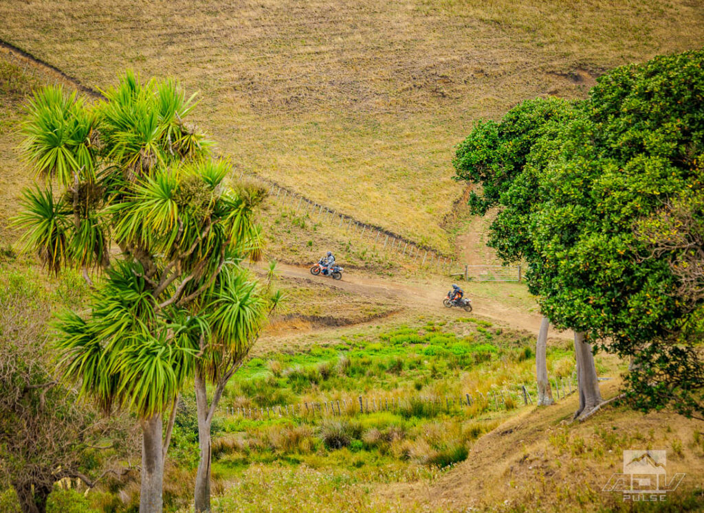 KTM Adventure Rally New Zealand